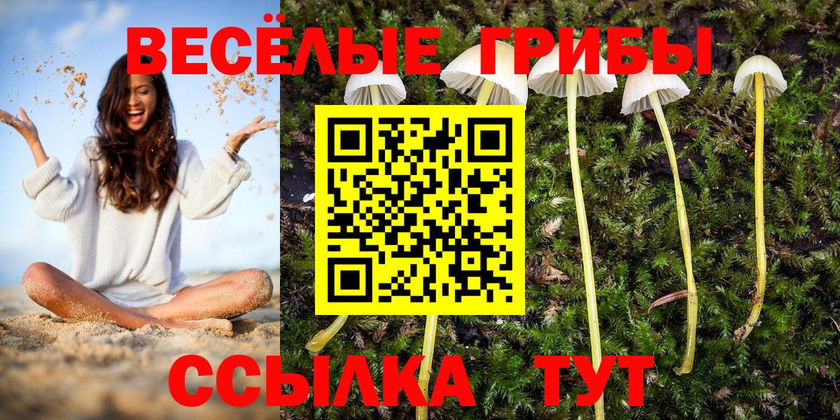 Канабис Новочеркасск